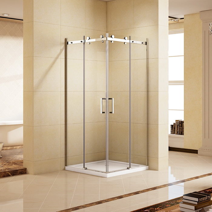 Frameless Glass Shower Enclosure with Door and Panel