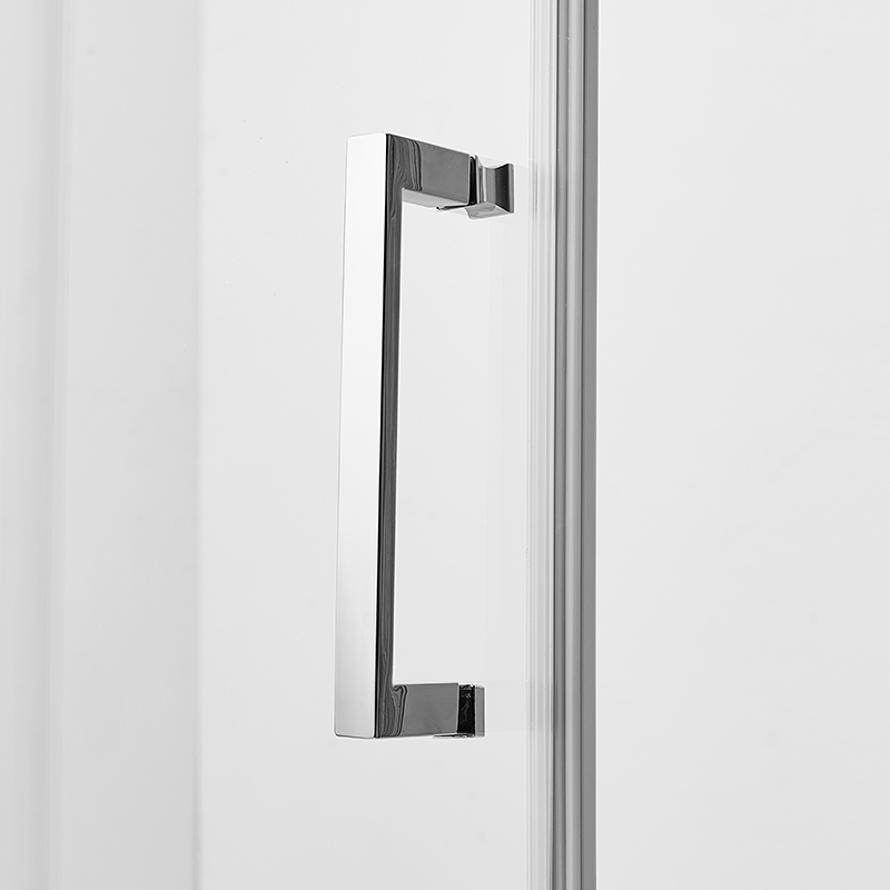 Frameless Glass Shower Enclosure with Door and Panel