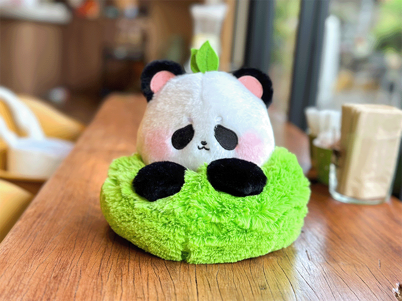 Mocha Panda