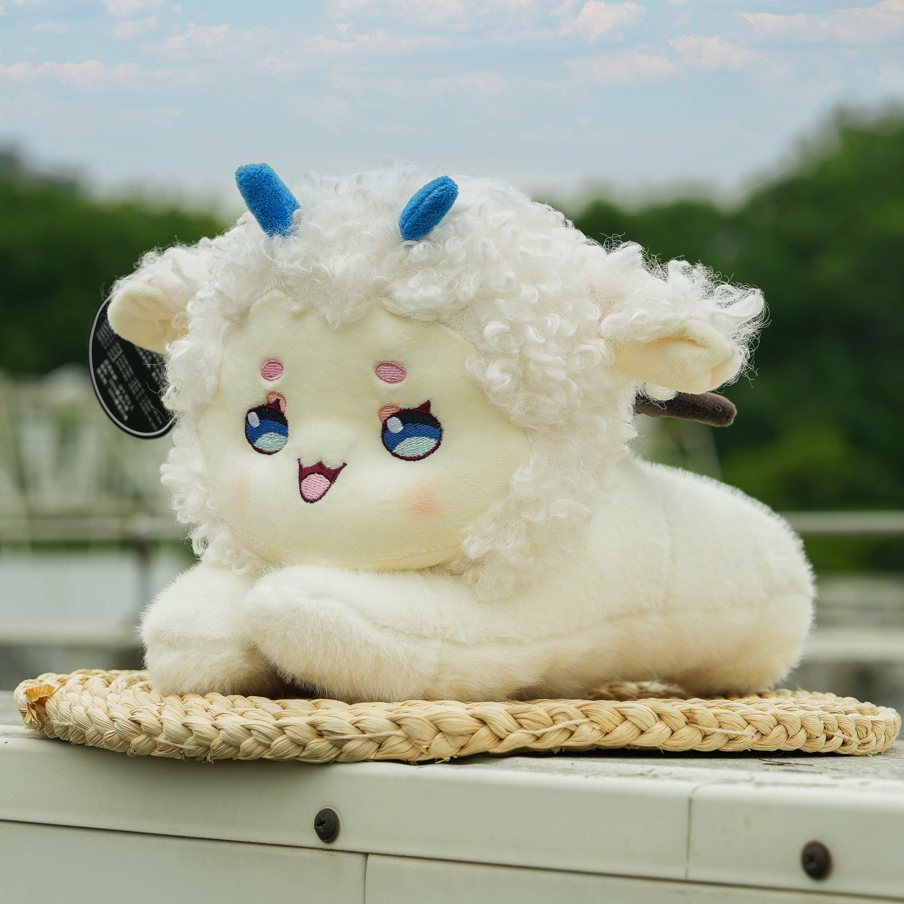 Prone Lamb