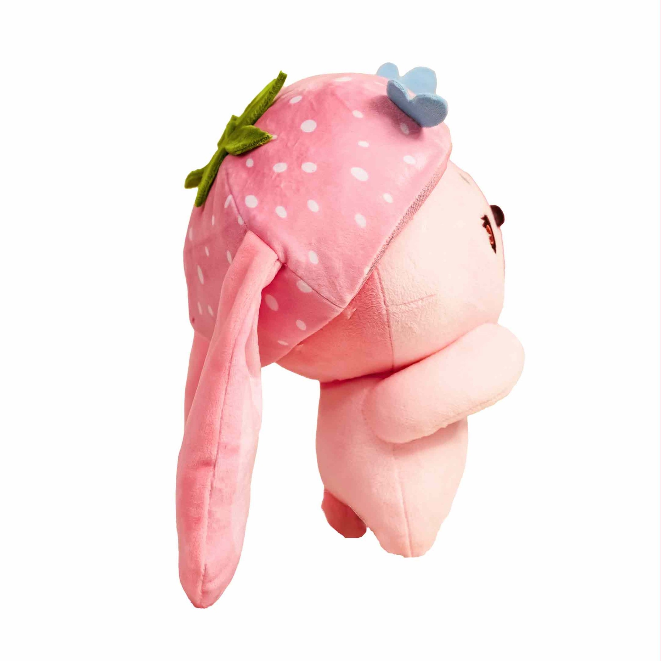 Small Peach.1