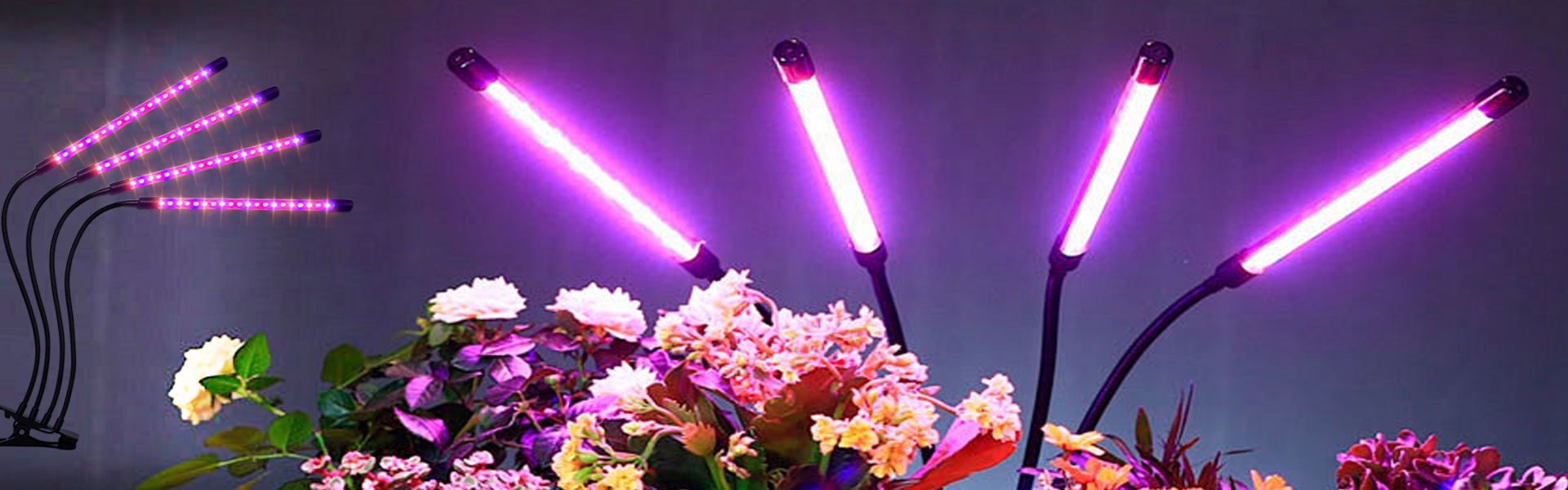 Grow Light