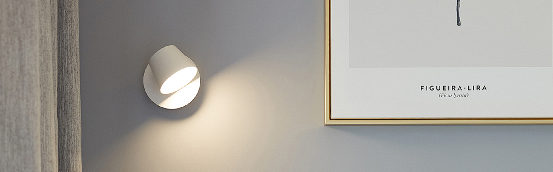 Wall Light
