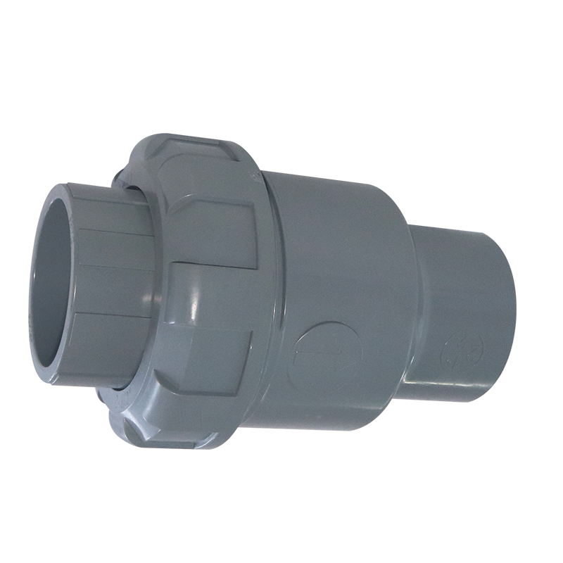 CPVC Industrial water GB ASTM GREY PVC-C PIPE AND FITTING Check Valves 2