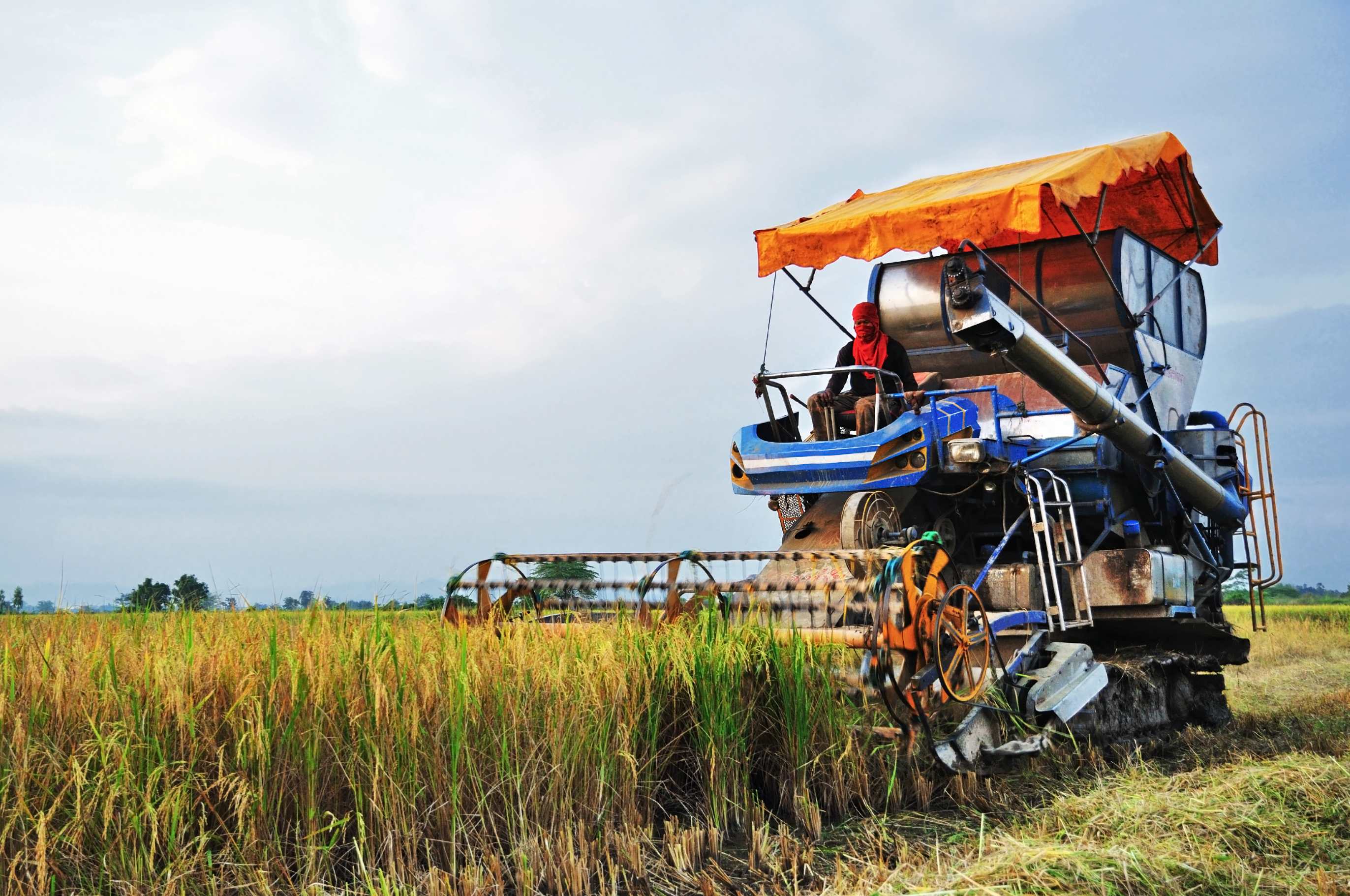 combine-harvester-rice-field (1)