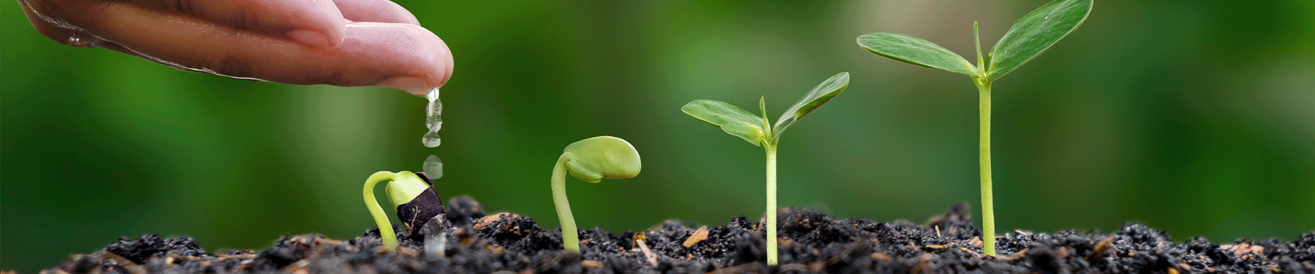  Sustainability
