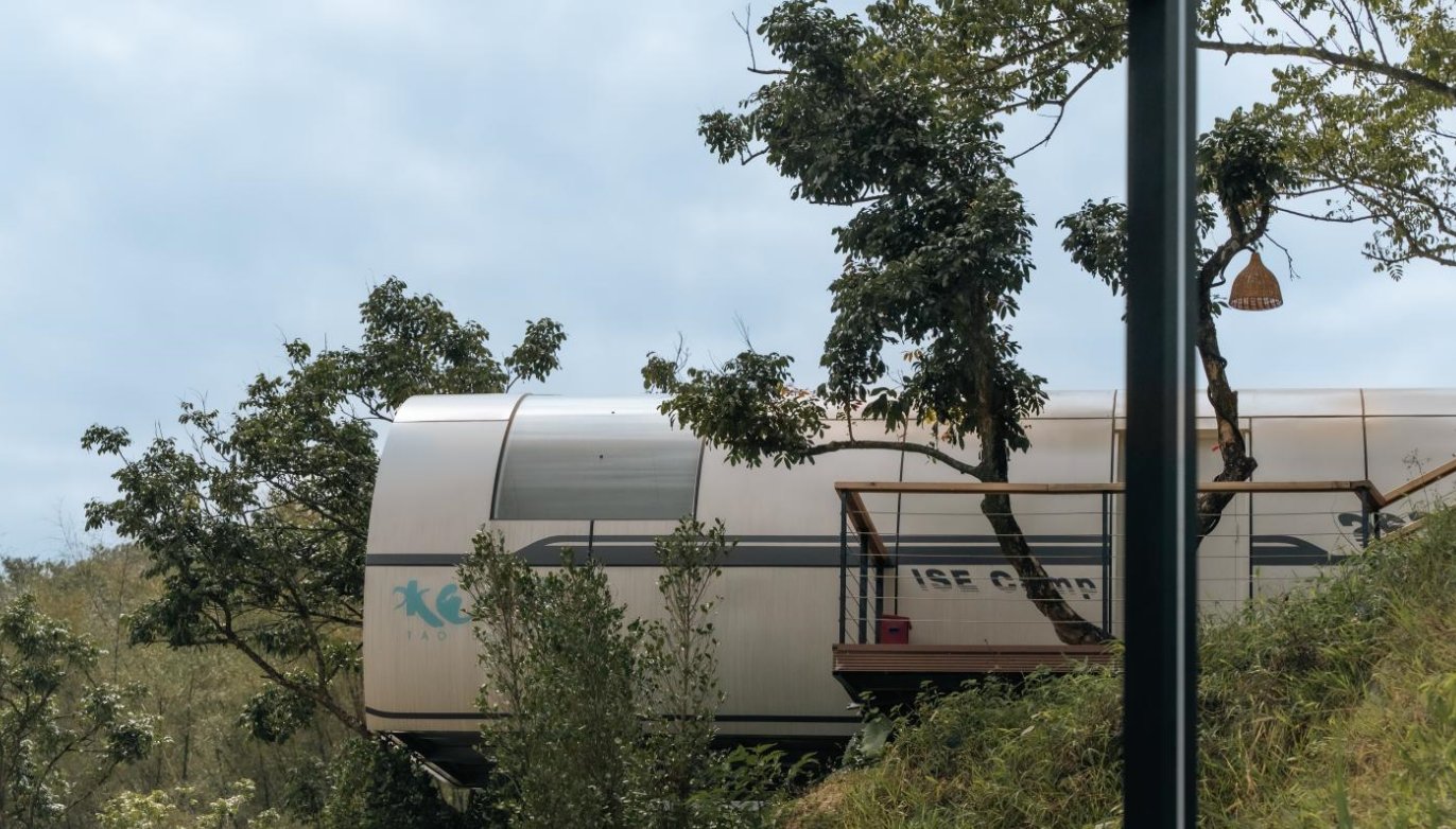 3. C3