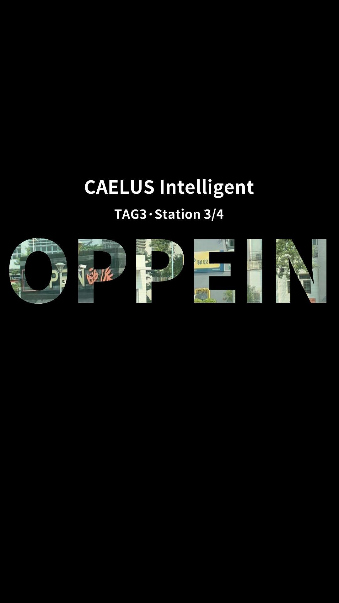 OPPEIN