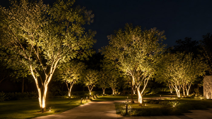 2700K–3000K Lighting an Outdoor Tree