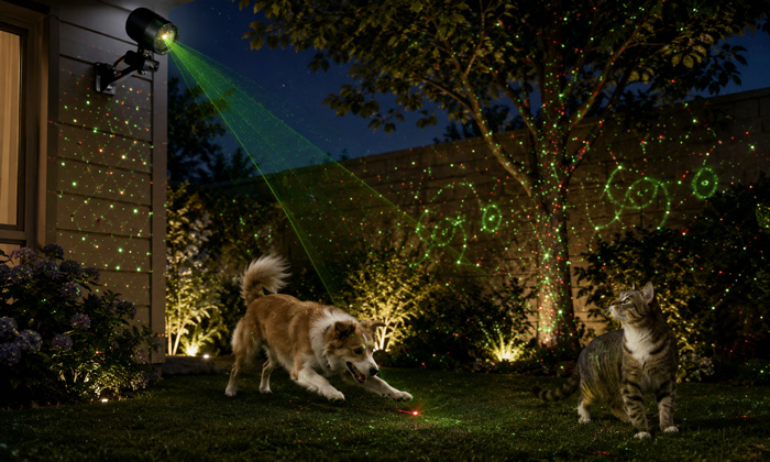 Are Garden Laser Lights Safe for Pets