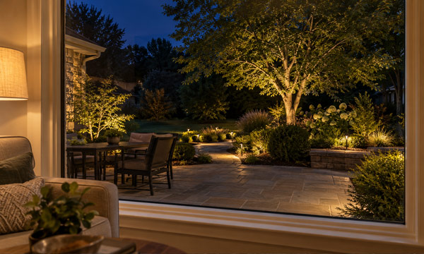 Backyard landscape lighting