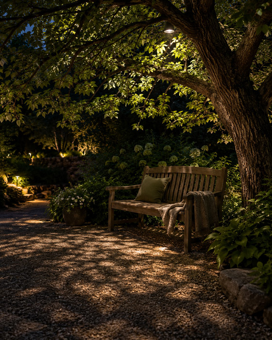Create a Moonlit Corner Beneath the Branches