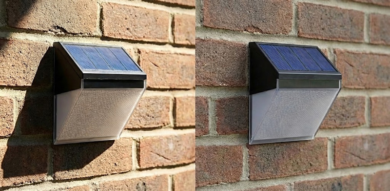 Direct Sunlight vs. Indirect Light