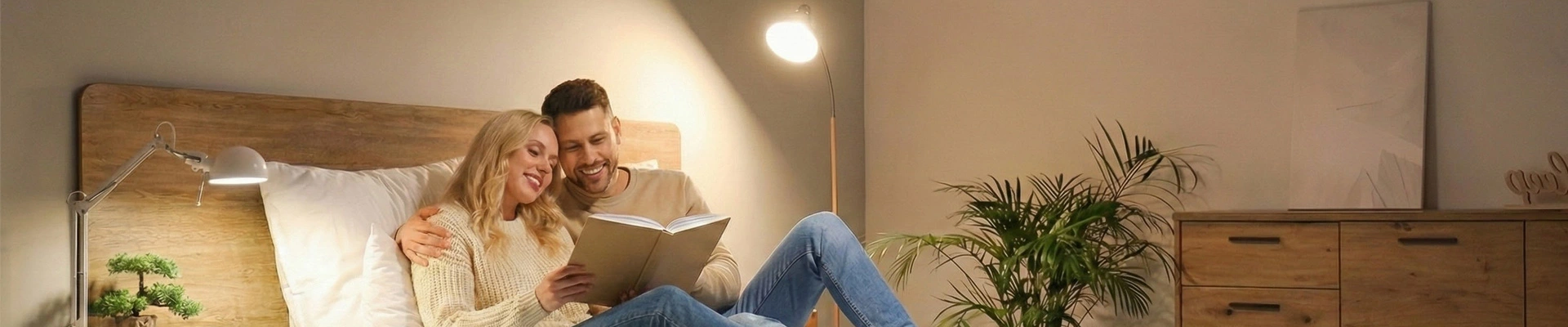  Ampoules &agrave; culot E27