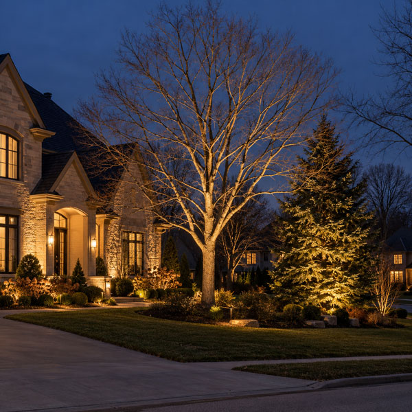 Evaluate Trees With and Without Leaves
