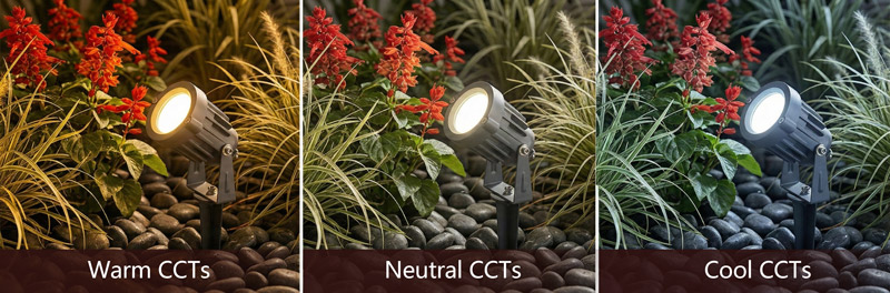 Impact of CCT on Plant and Material Appearance