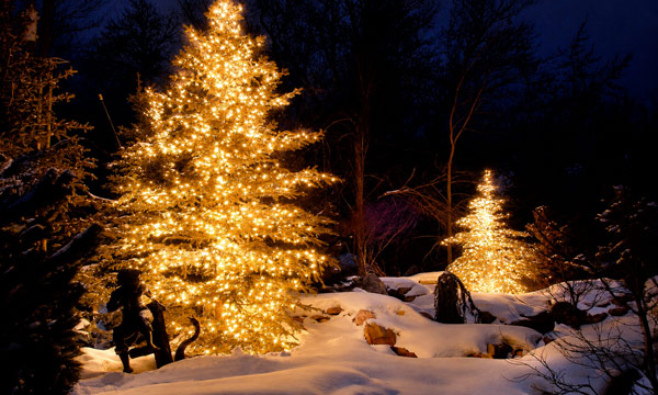 Incandescent Christmas Lights Be Used Outdoors
