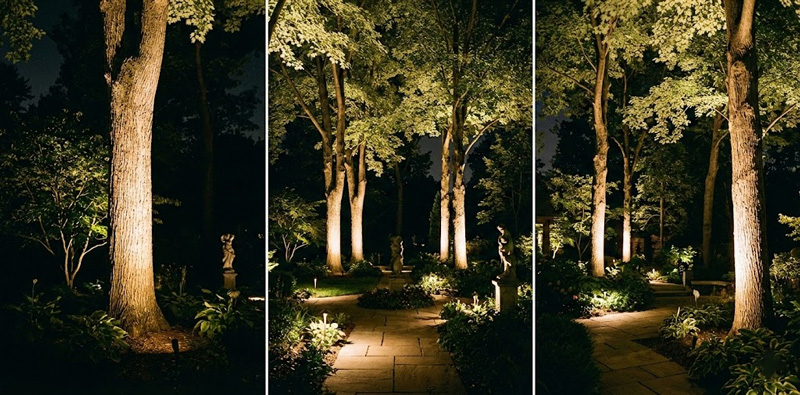 Landscape Uplighting