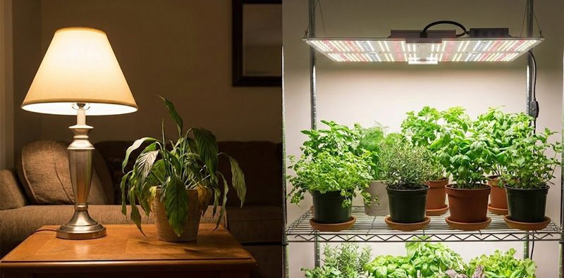 Practical Differences in Real-World Applications