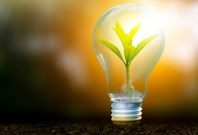 Reduced-Energy-Consumption-Pathway-Light