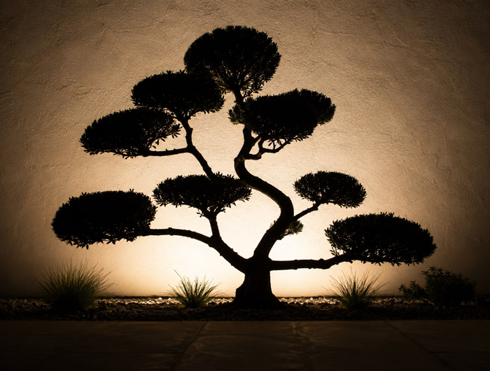 Silhouetting