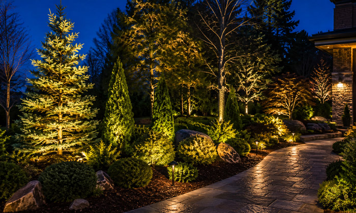Understanding Landscape Lighting Evergreen