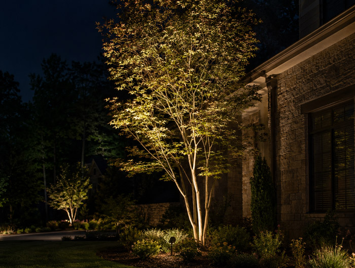 Uplighting