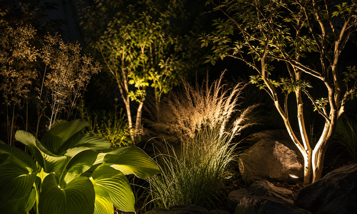 Use Plant Lighting to Reveal Texture