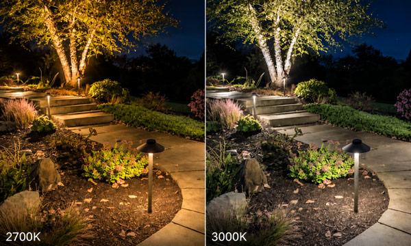 Warm Landscape Lighting