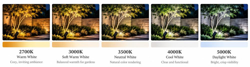 What Are the Five Color Temperatures