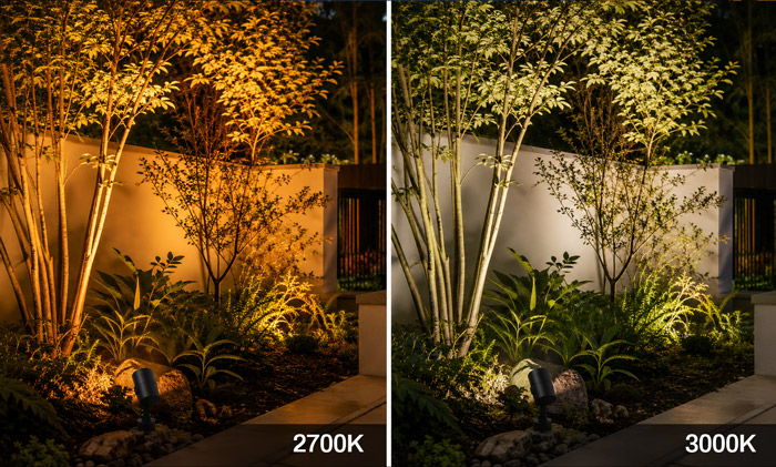 Which Color Temperature Makes Plants Look Better