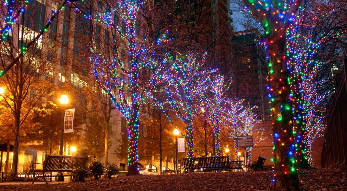 atlanta botanical garden christmas lights