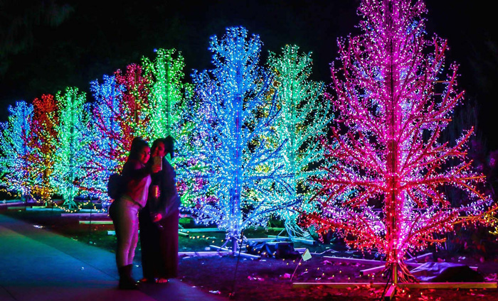 atlanta botanical garden christmas lights