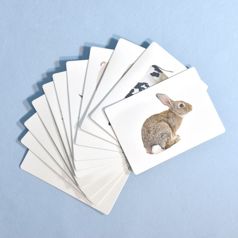 Animal and Plant Confirmation Cards (1)