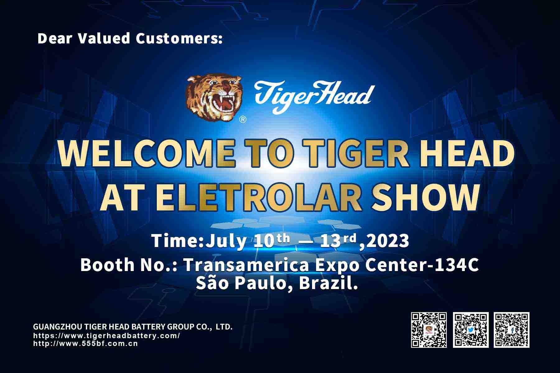 Tiger Head Battery invite you to visit our exhibition at Eletrolar Show in Sao Paulo, Brazil