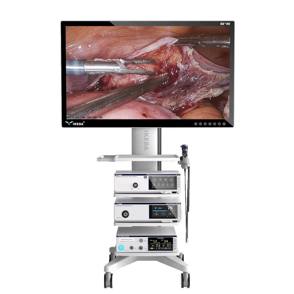9211-4K-Endoscopy