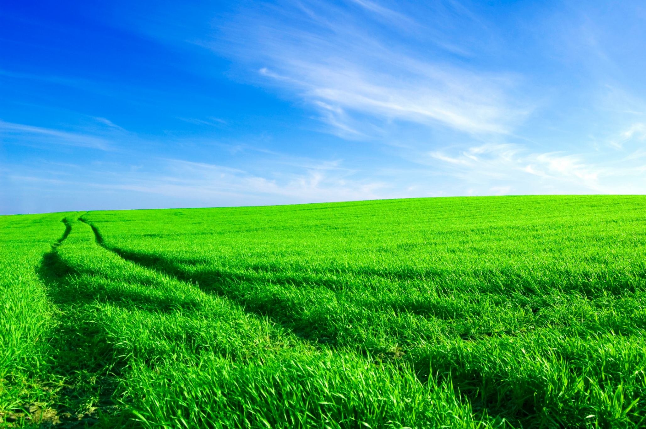  Қызмет көрсетуге арналған гольф алаңы