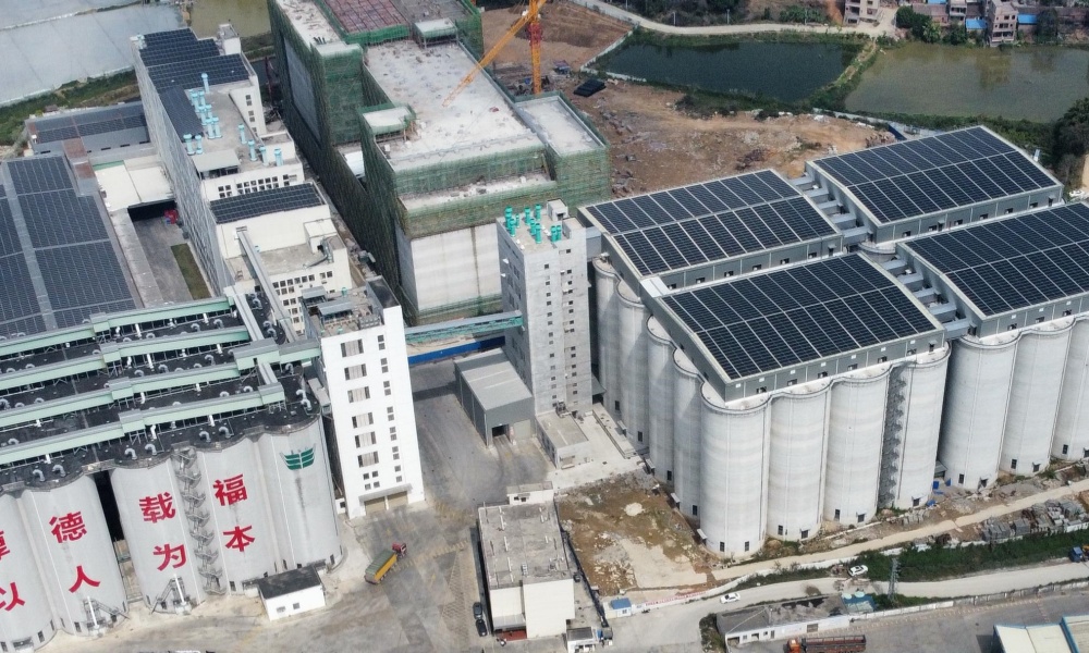 Zhaoqing Jiafu Jiade Flour Co., Ltd