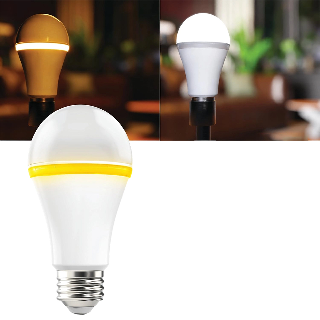 A19-night-light