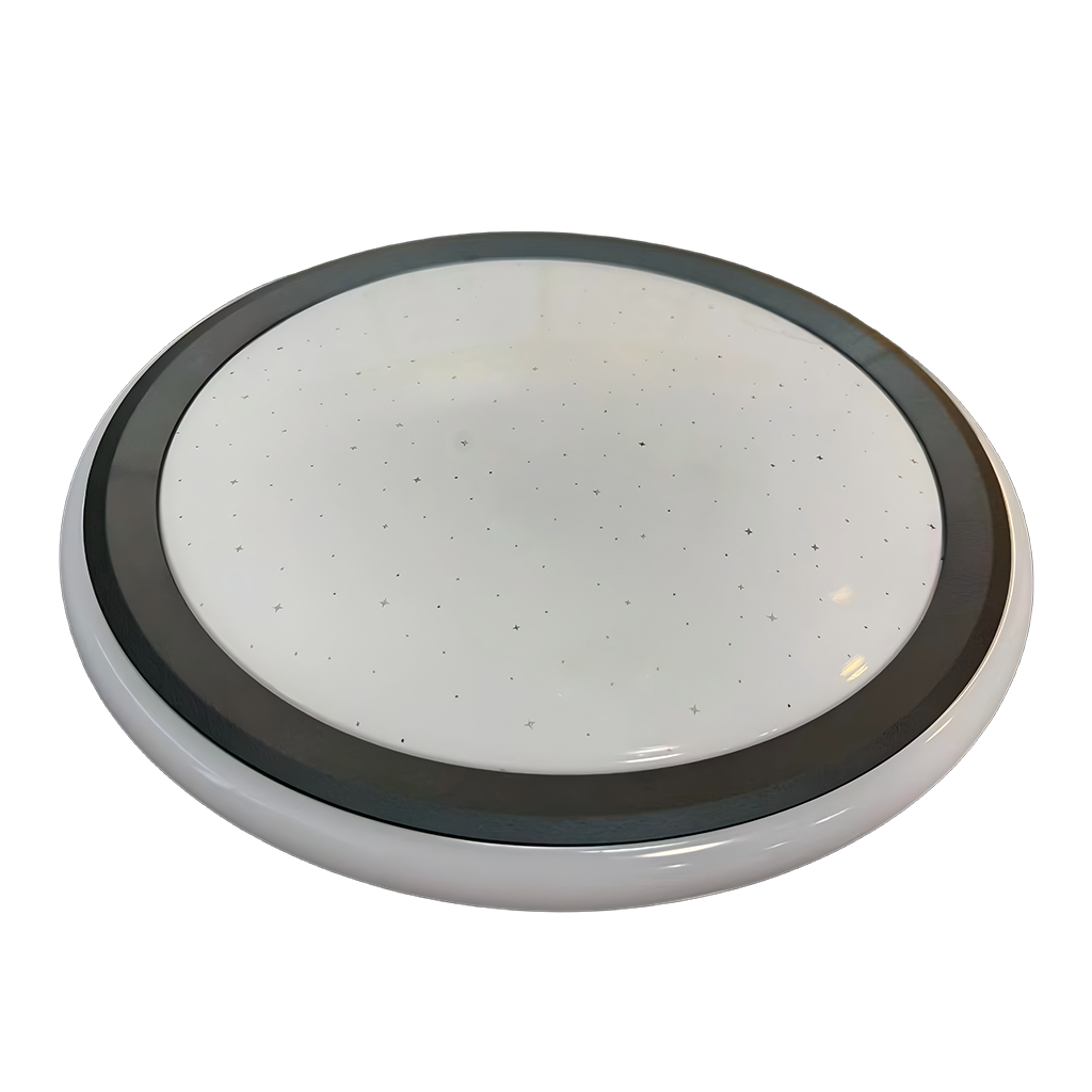 Ceiling-11