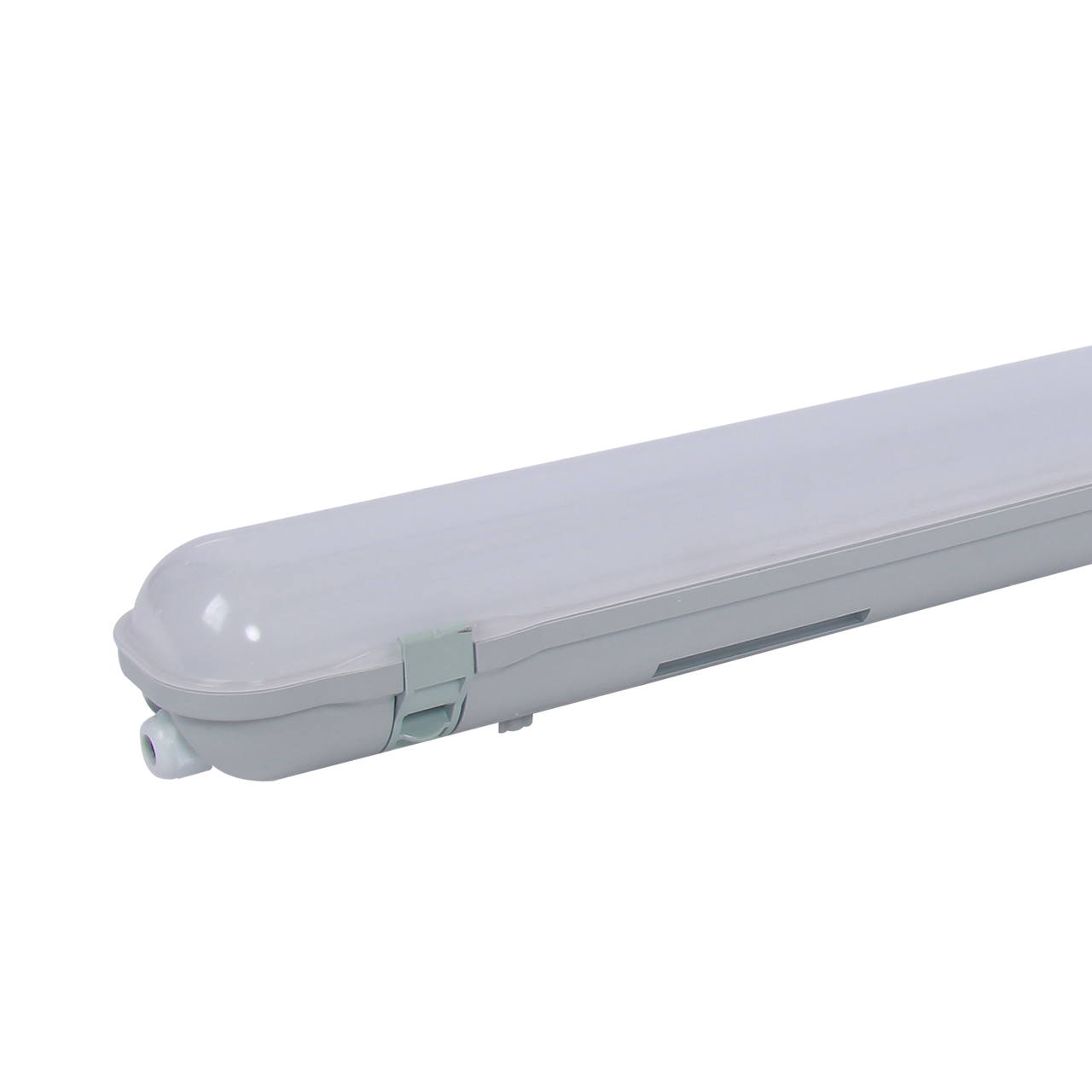 IP65-wtp