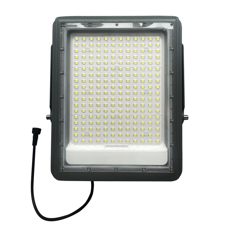 Solor light 100W (1)