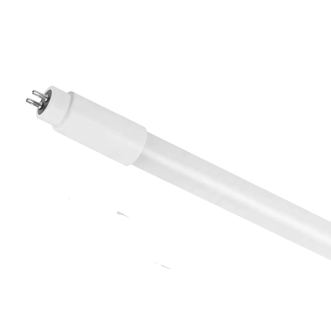 T5