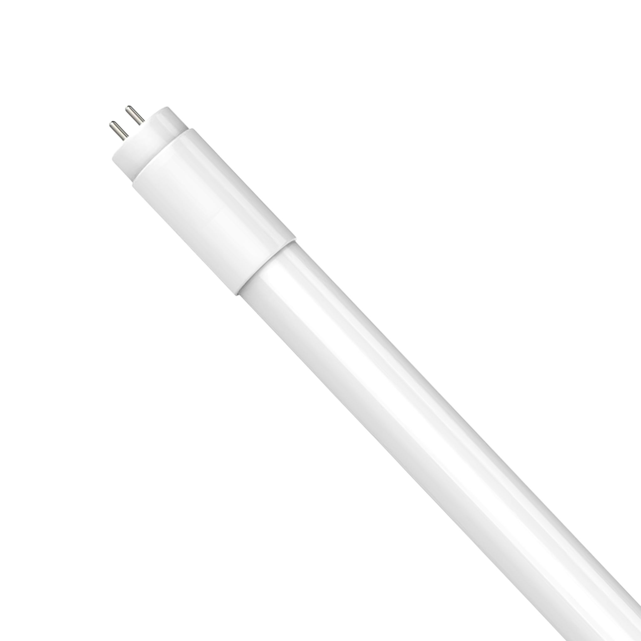 T8 (1)