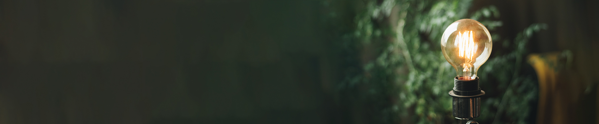  dengsiBulb-banner