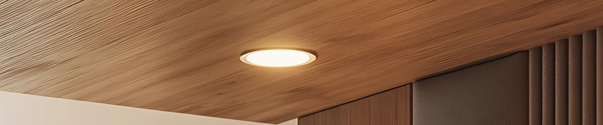  downlight011