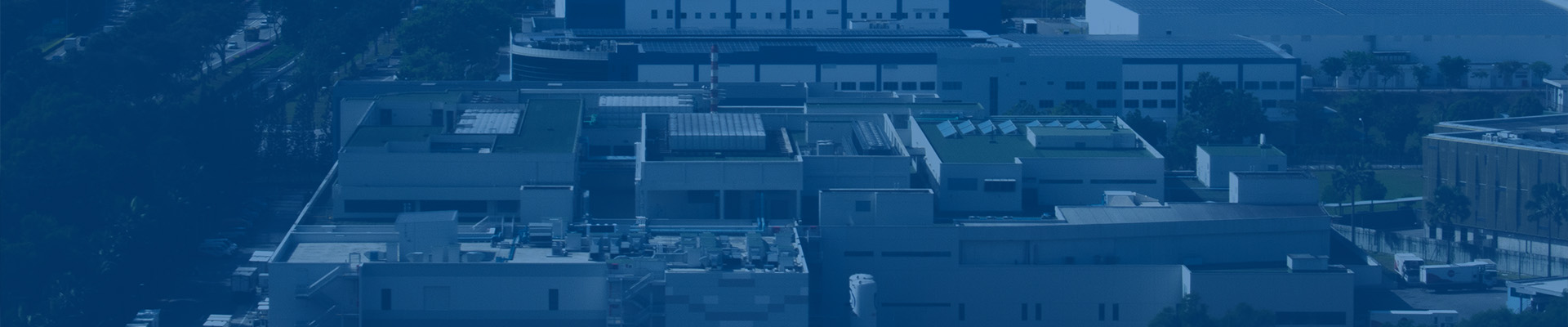  company