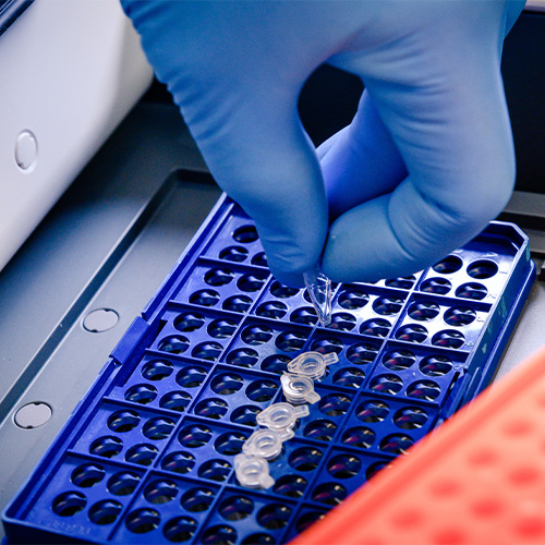 Sample Testing & Evaluation