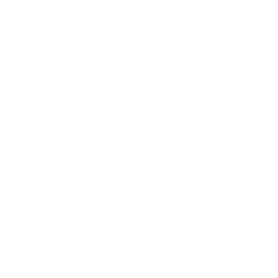 c sd (3)