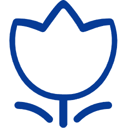 cdsawcv